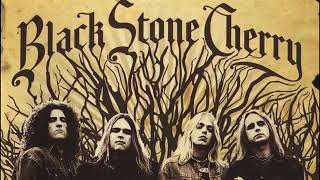 Black Stone Cherry   When The Weight Comes Down Audio