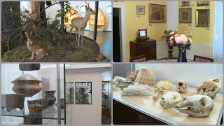 Felüdülést jelenthetnek a kaposvári múzeumok