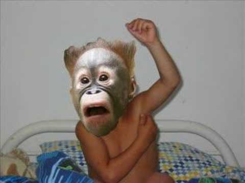 Don't cry (chick'n swell)