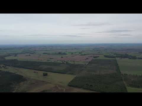 Campo forestal-ganadero de 355Hás en Fray Marcos , Florida