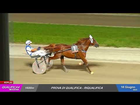 Ippodromo Ghirlandina - 18/06/2023 - RiQualifica 1