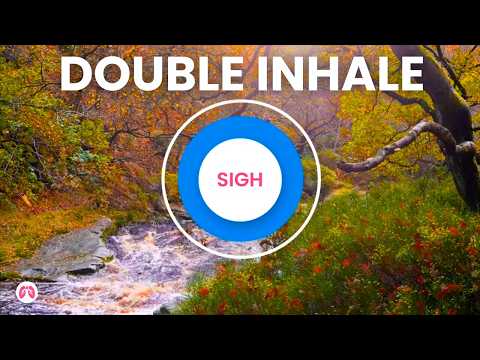 Somatic Breathing Exercise to Reduce Stress | Huberman's Physiological Sigh