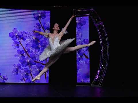 Lilac Fairy – Classical Ballet Variation solo