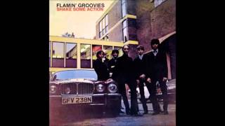 Flamin' Groovies - Shake Some Action