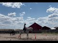 IMG 0537