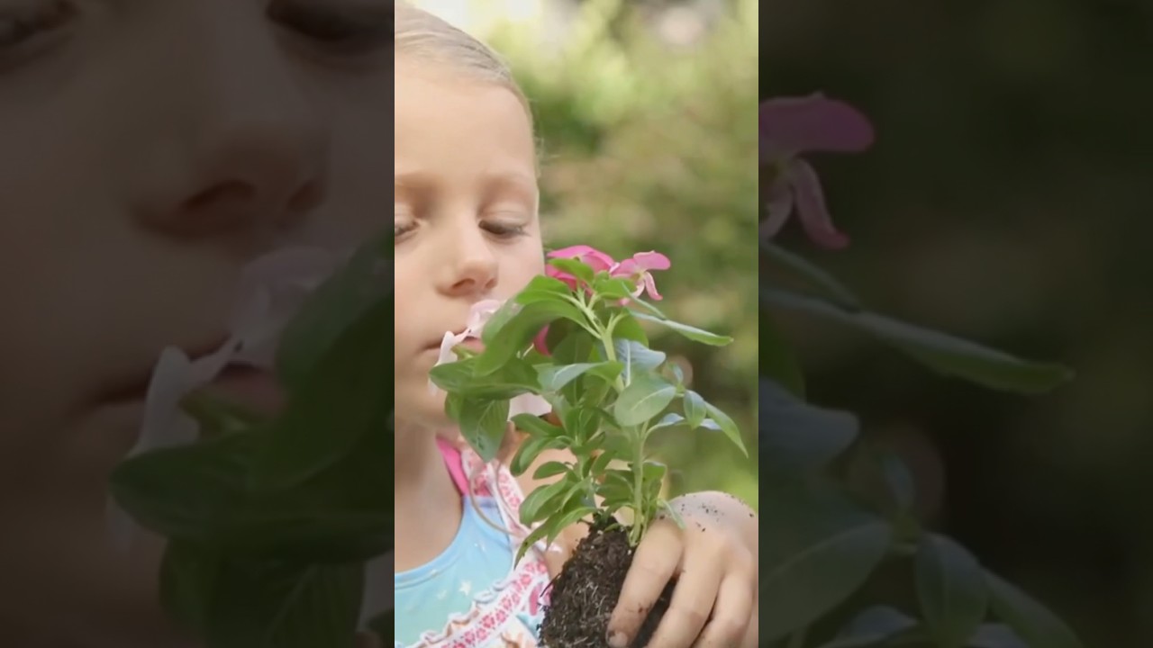 YouTube Short thumbnail