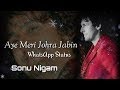 Aye Meri Johra Jabin By Sonu Nigam WhatsApp Status ️
