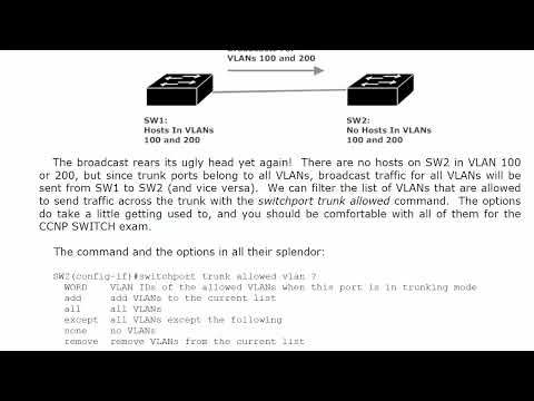 1 Fund 1 The Dawn Of Man Switching CISCO CCNP COURSE FOR BEGINNER TUTORIAL FUNDAMENTALS REVIEW