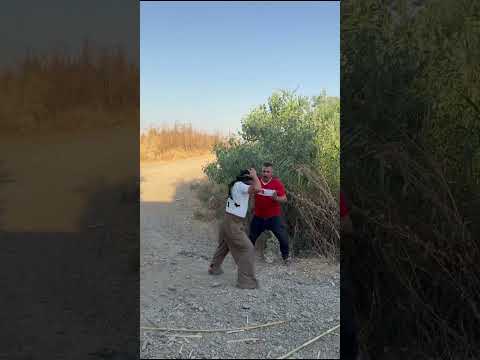 ٢ تموز، ٢٠٢٦
