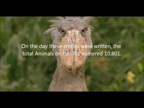 CALL TO ALL LOVING ARMS
