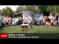 Wideo: Slalom z taczk�