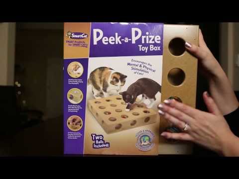 Peek-A-Prize: Cat Toy!
