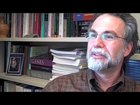 Gregg Semenza of Johns Hopkins Medicine on Science