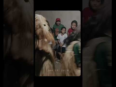 #cultura #piauiense #cavalo boa hora Piauí