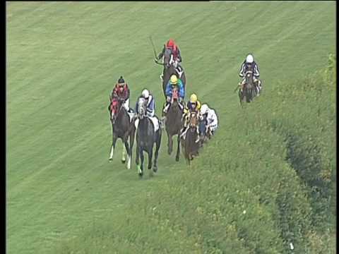 Galoppo 25/05/2017 - 3ª corsa