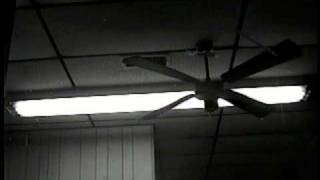 Daniel Knox - Official Video - Disaster