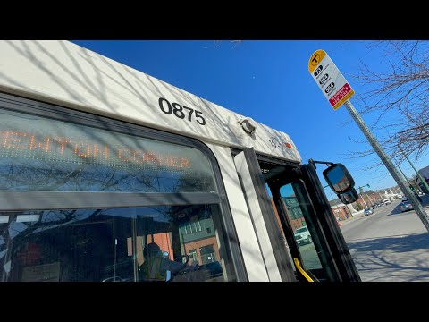 Adore Lynn Buses! Albany Edition | Yoshi's Ride Series {S7-E03} - Riding the 554 🚌 - {MBTA}