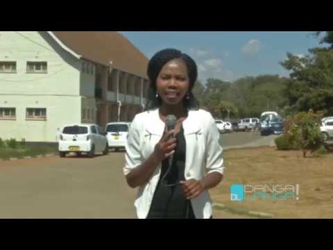 DANGA LANGA  - 31 JULY 2019