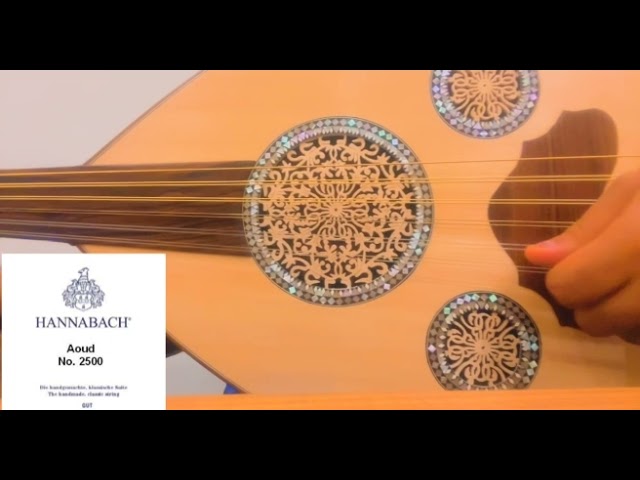 اوتار هانباخ امعاء + فضة مطلي ذهب 11 وتر