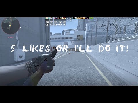 Low IQ High Cholesterol CS2 Moments