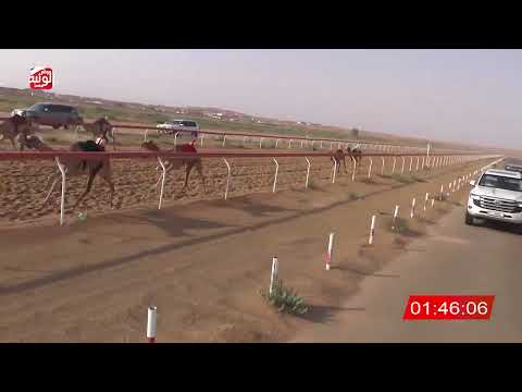  ش 20 (الشاهينيه) لـ حربي سعيد بن حربي العامري 2:33 ، شارة الصندوق 2026/08/10 فطامين الجبيب