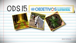 ODS #15  Vida terrestre • IBGE Explica
