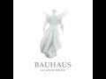 Bauhaus - International Bullet Proof Talent