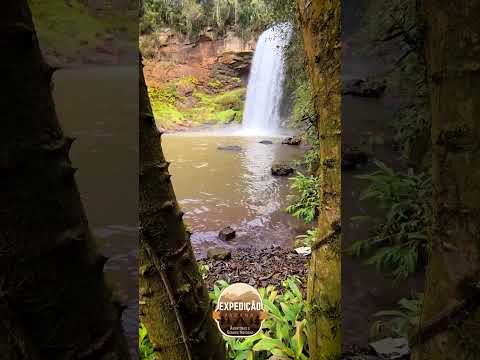 Cachoeiras Luiziana #shorts #turismo #cachoeiras #aventura #Luiziana #expedição #paraná #natureza