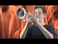 RAMMSTEIN "ROSENROT" COVER - Rotten Rose ...