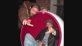 Admiral P - Venn Med Dem