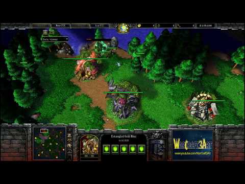 Sok(HU) vs Zhouxixi(NE) - WarCraft 3 Frozen Throne - RN3343