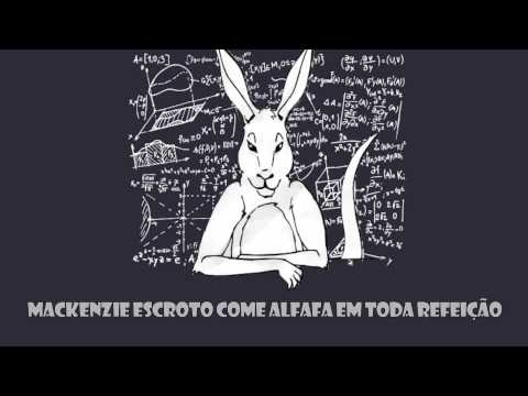 FEA USP Economíadas 2014 - Beijinho pro Burro