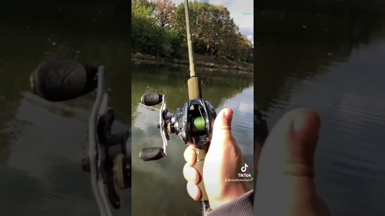 SavageGear SG4 221cm 20-60g