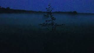 Cover art for forgive me