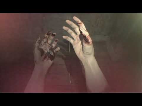 Pablo Iranzo vs Jordan Reyne - Go Tell Aunt Rhody (Resident Evil 7 cover / mashup)