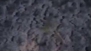 "Wilder Maker - Hangs Hooks (Official Video)"