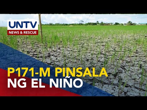 Danyos sa agrikultura ng El Niño sa Bicol, umabot na sa P171-M