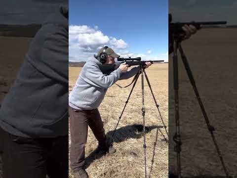 Effective Target Acquisition