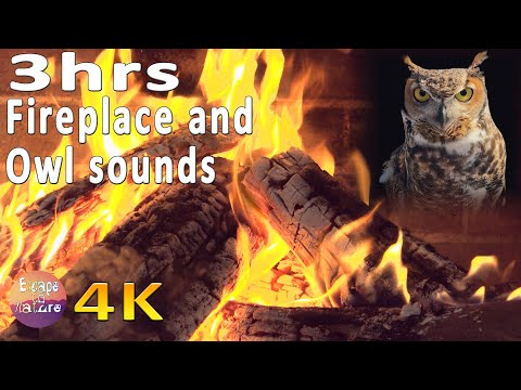 4K Relaxing Fireplace and Owl Sounds 🔥  Cozy Crackling Fire for Relaxing and Stress Relief