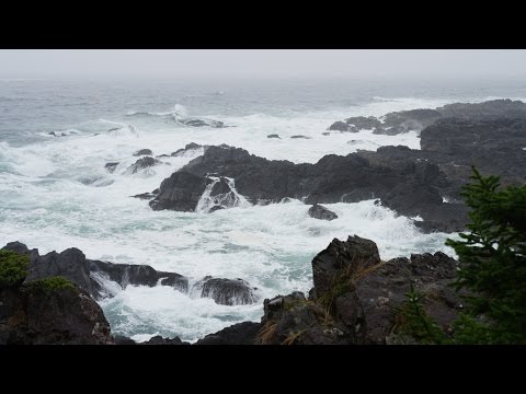 Som de Chuva e das Ondas do Mar - 4K Ultra HD - Relaxar, Meditar e Dormir