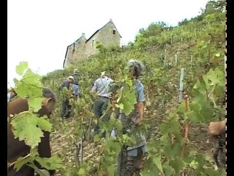 Buvem un bon còp !