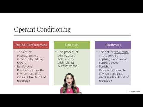 B. F. Skinner and Behavioral Approach - Personality Psychology Lecture 11 of 13