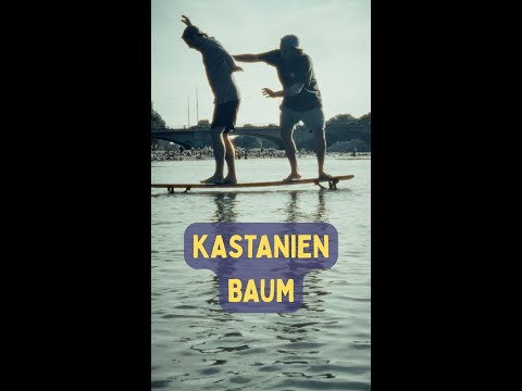 Dis M - Kastanienbaum - (Official Video)