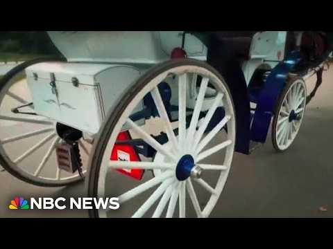 NYC passes bill to ban horse-drawn carriages 