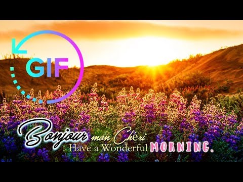 Good morning Gif French wishes Video