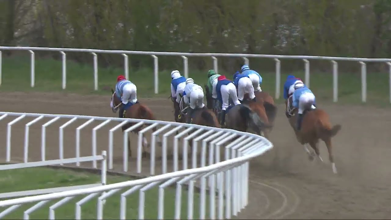 Becky Moss Fillies Mile 2022