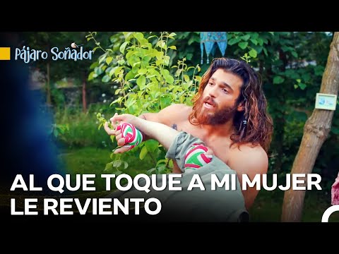 El Lado Protector Y Celoso De Can Divit - Pájaro Soñador