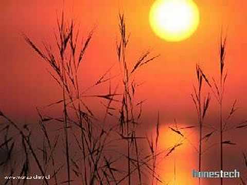 Hamza Robertson & Sami Yusuf- your beauty