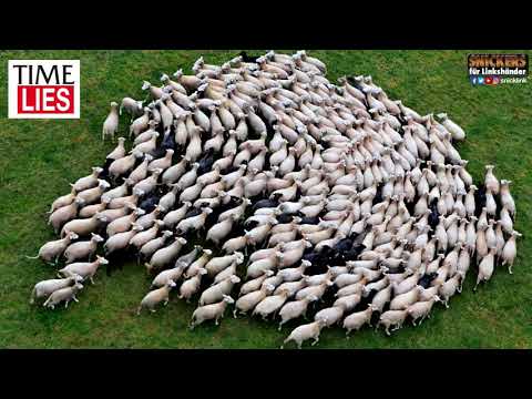 Randgruppenparty V42 | Time Lies REUPLOAD