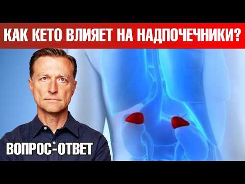 Кето-диета негативно влияет на надпочечники?👀 Кето-диета негативно влияет на надпочечники?👀